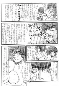 (SC16) [Power Slide (Uttorikun)] Love Cat 2 (Azumanga Daioh, Outlaw Star)