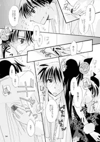 (SPARK11) [T.K.H.K (Hayami Aya)] MACARON-CHOCOLAT-DOLCE (Detective Conan)