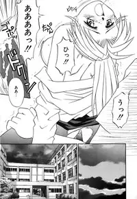 [Donkey] Chocotto Ne