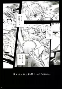 (C66) [Yakan Hikou (Inoue Tommy)] Alstromeria (Fate/stay night)