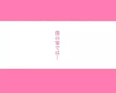 [愛国者 (よろず)] 世界のお義母さん達 〜スケベな文化をもつお義母さん達が息子のあなたを狙っている〜 [日本語、英語]