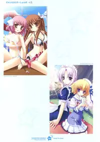 Tsunagaru Bangle - Visual Fan Book