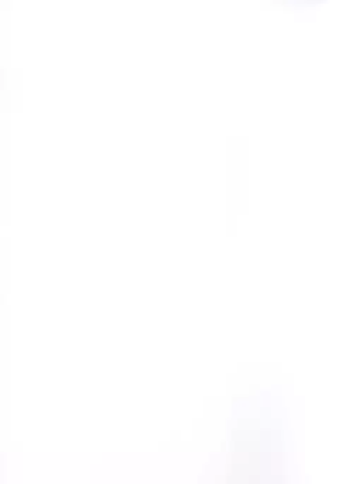 Kira Mina e sukare ishon