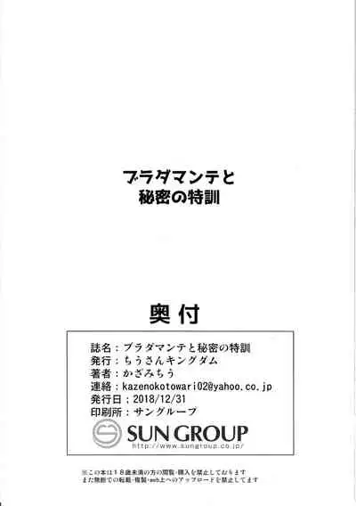 (C95) [Tiusan Kingdom (Kazamitiu)] Bradamante to Himitsu no Tokkun | Secret Special Training with Bradamante (Fate/Grand Order) [English] [ChoriScans]