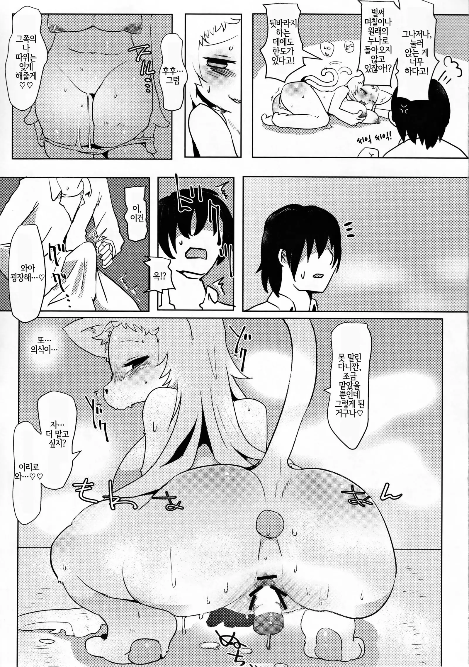 Onee-chan Multi Boot | 멀티 부팅 누나