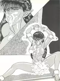 [L-Gauge Sha (Shouryuu)] WA 2 (Ranma 1/2, Bastard) [1993-10-03]