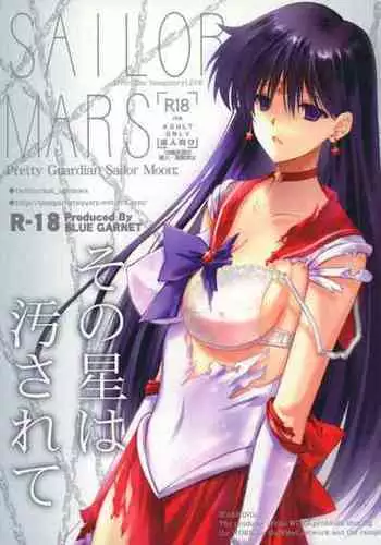 (C100) [Blue Garnet (Serizawa Katsumi)] Sono Hoshi Ha Yogosarete (Bishoujo Senshi Sailor Moon)