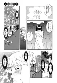 COMIC Megamilk 2010-11 Vol. 05