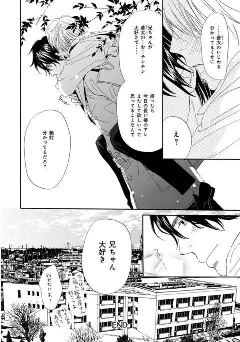 Ore wa Kawaii Ototo to