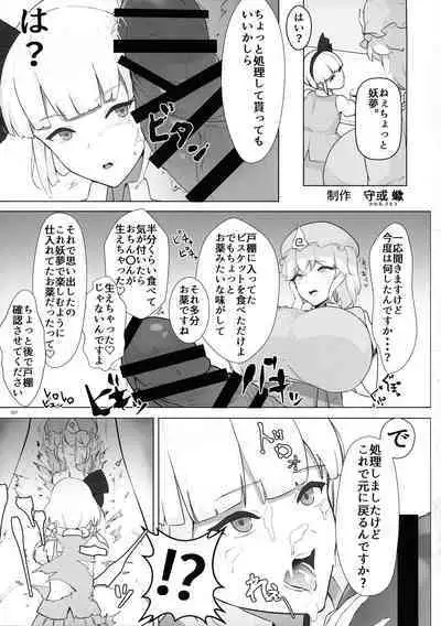 Touhou Ochinpo Haechatta Goudoushi