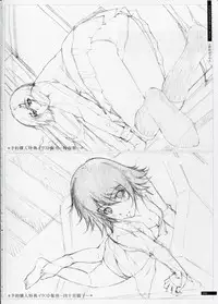 [Innocent Grey]SHEOL KARANOSHOJO Art Work