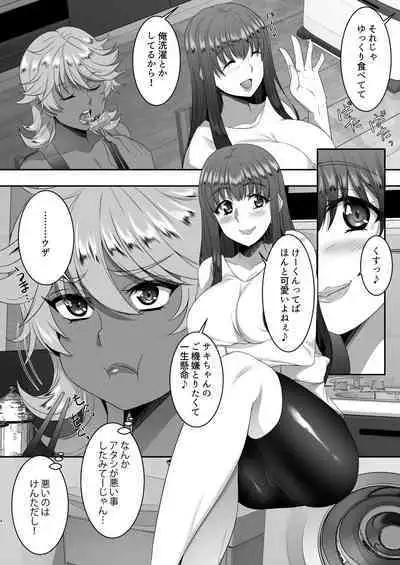 Sei Yariman Sisters Pakopako Nikki 4R