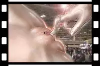 [NEO’GENTLE] Virginal Relna 1