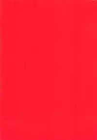 (C92) [Don't UndeRsTand (DoLL Suke)] Kawaki (Detective Conan)