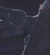 Fate/stay night Premium FanBook