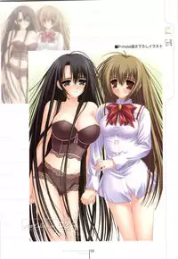 Otome wa boku ni koi shiteru Visual Fanbook (Otoboku)