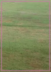 [Mousou JET (Ogata Gou)] Futa×Shota [Digital]