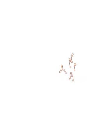 Yuuka-Chirabatta Daiyoukai no Kakera-