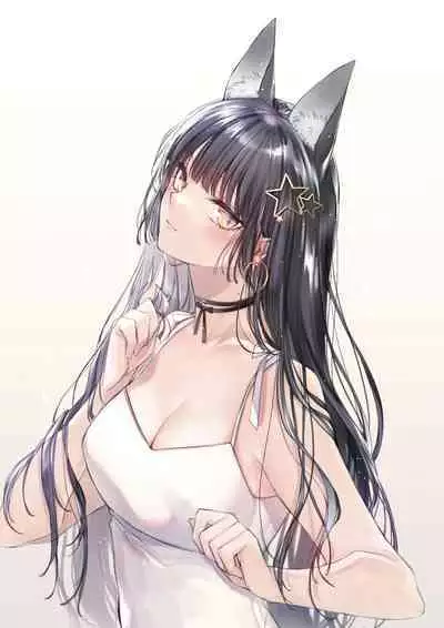 The Best of YUKIBUSTER Z