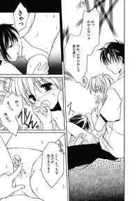 [Phoenicia Masako] Onna no Ko Zukan [Digital]