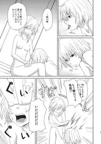 (Reitaisai SP2) [Tatakai no Kiseki (Senyuu)] oo Play ga Mitaindesu!! (Touhou Project)