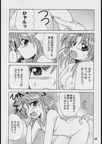 (C62) [Shinohara Heavy Industry (Various)] Sis-Con 3 (Sister Princess)