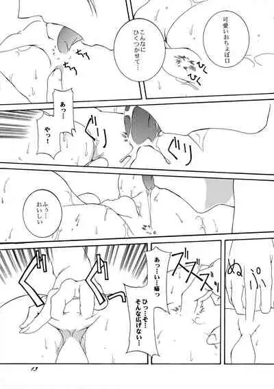 (CR33) [F-A (Honoutsukai)] Xs