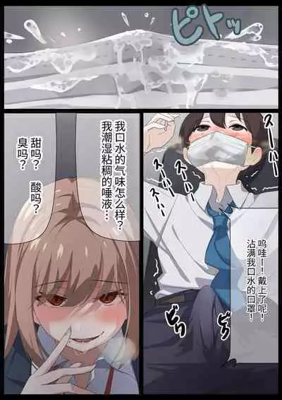 Birei sama no tsuba seme