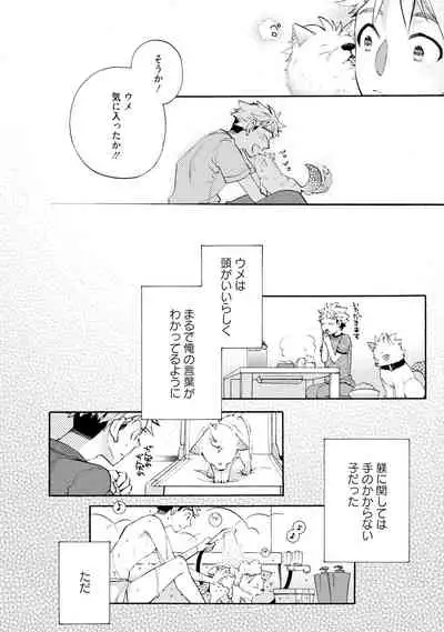 Wolves and Erotic Things