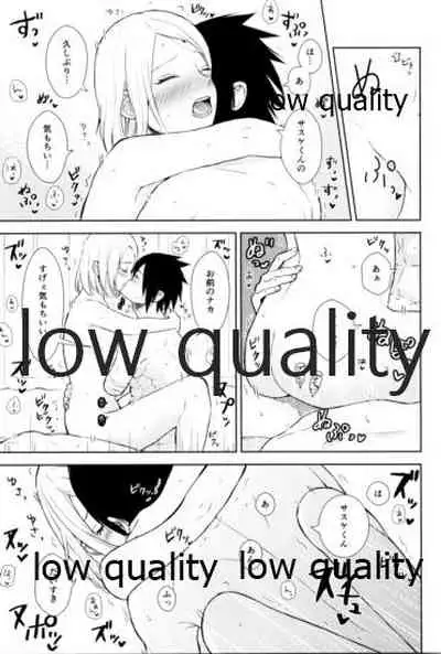 Kotoba ni Dekinai Itoshisa o