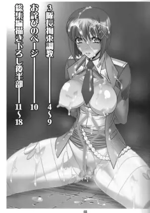 3 Taichou Kousoku Choukyou