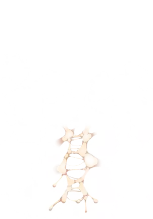 Yuuka-Chirabatta Daiyoukai no Kakera-