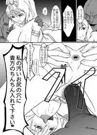 (C73) [Amanda Bainzu (Kilie)] Niku to Miko (Ar Tonelico 2)