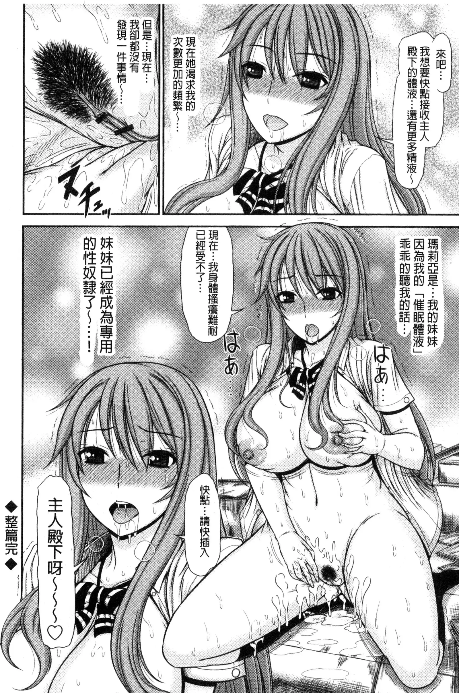 Shimai Seikou Inshuu