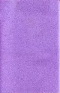 (C62) [No-Zui Magic & No-No's (Various)] Yoruhime