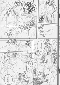 (SC37) [Wakanaya (Kappa Yoshimi)] UNLIMITED GREED 08.6 (Queen's Blade)