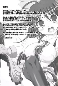 (C75) [Schwester (Inasaki Shirau)] Souda Chireiden Ikou! (Touhou Project)