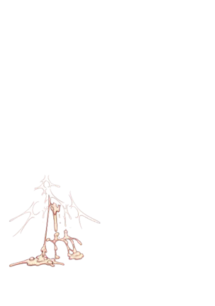 Yuuka-Chirabatta Daiyoukai no Kakera-