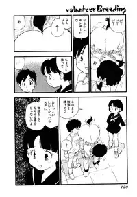 [Kaimeiji Yu] Volunteer Breeding