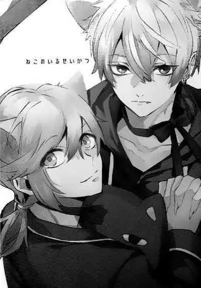 Neko no Iru Seikatsu | 有猫的生活