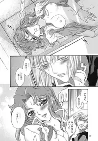 [ITALIAN RIX] Rasberry Dream (Gundam SEED)