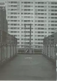 (C91) [Studio N.BALL (Haritama Hiroki)] Usugitanai Cinderella (THE IDOLM@STER CINDERELLA GIRLS)