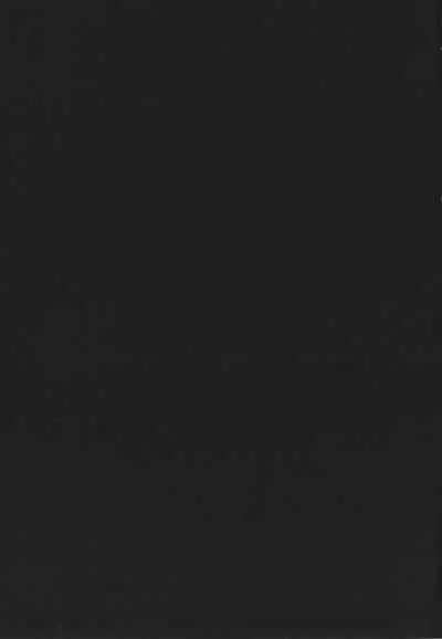 [Kizuki Rei] GAME OF BITCHES the escape