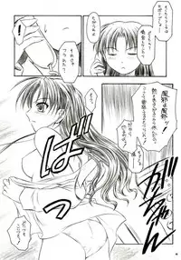 (C66) [Yakan Hikou (Inoue Tommy)] Alstromeria (Fate/stay night)