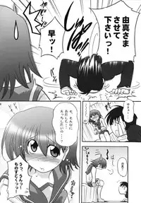 (C72) [Syunkan Saidaihusoku (Pony R)] Tane Pita (ToHeart2)