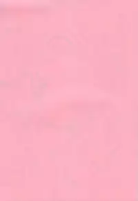 [Studio Kimigabuchi (Entokkun)] FULL METAL (Full Metal Panic)