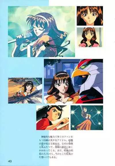 This is Animation Pocket- Chouja Reideen Character Book