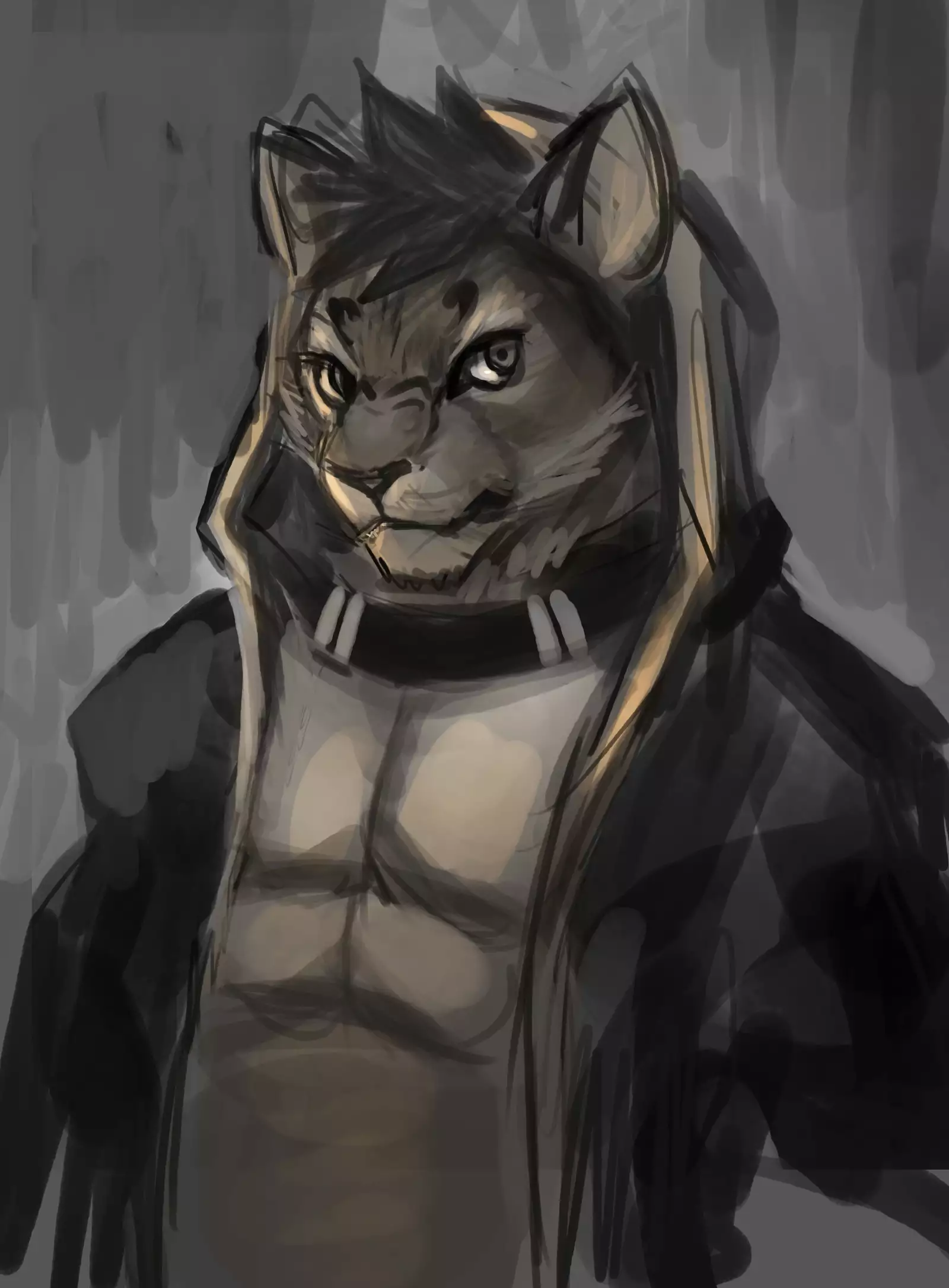 Nekojishi December 2017 Package Reward