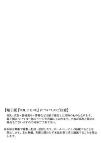 COMIC ExE 17 [Digital]