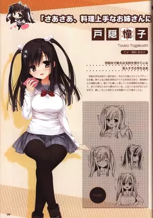 YUZUSOFT 10th Anniversary Book YUZUANI